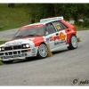 DSC_1568 Kopie